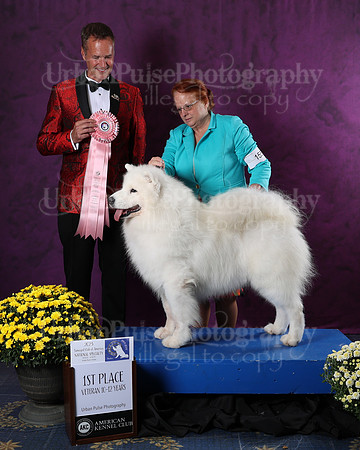AWARD-2867
