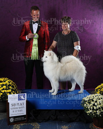 AWARD-2874