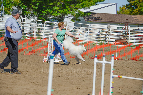 AGILITY-2353