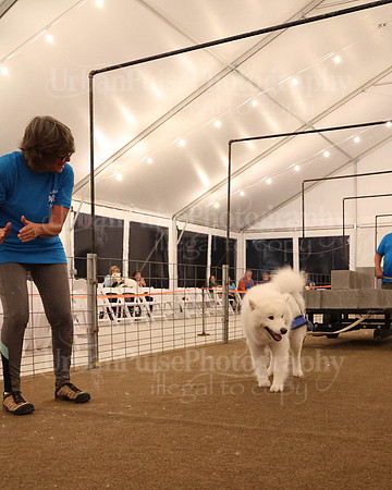 SWP2023-0587