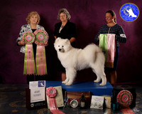 SCA2023FUTURITY_AWARD_1554