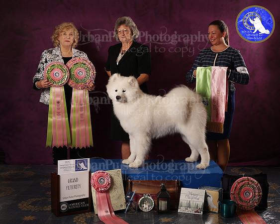SCA2023FUTURITY_AWARD_1554
