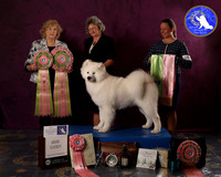 SCA2023FUTURITY_AWARD_1555