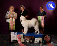 SCA2023FUTURITY_AWARD_1559