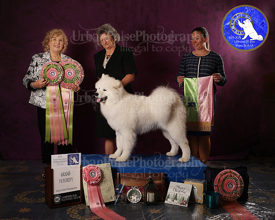 SCA2023FUTURITY_AWARD_1559