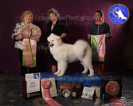 SCA2023FUTURITY_AWARD_1560