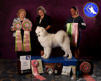 SCA2023FUTURITY_AWARD_1557