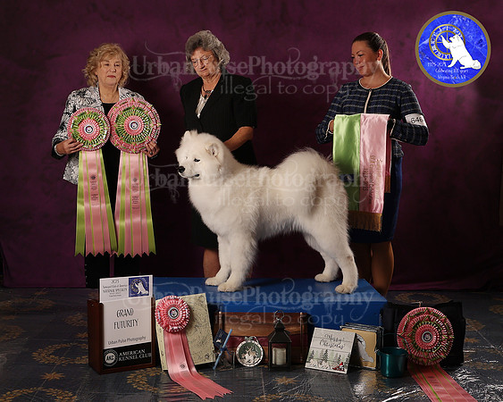 SCA2023FUTURITY_AWARD_1557