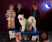SCA2023FUTURITY_AWARD_1564