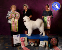 SCA2023FUTURITY_AWARD_1561