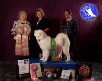 SCA2023FUTURITY_AWARD_1565