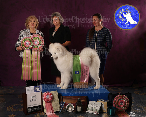 SCA2023FUTURITY_AWARD_1565