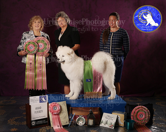 SCA2023FUTURITY_AWARD_1567