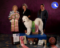 SCA 2023 FUTURITY AWARDS
