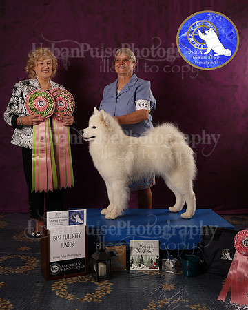 SCA2023FUTURITY_AWARD_1571