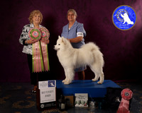 SCA2023FUTURITY_AWARD_1572