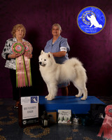 SCA2023FUTURITY_AWARD_1573