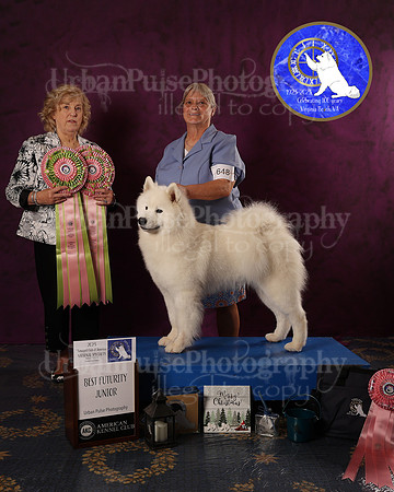 SCA2023FUTURITY_AWARD_1573