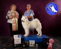 SCA2023FUTURITY_AWARD_1575