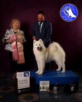SCA2023FUTURITY_AWARD_1579