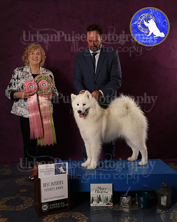 SCA2023FUTURITY_AWARD_1581