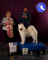 SCA2023FUTURITY_AWARD_1582