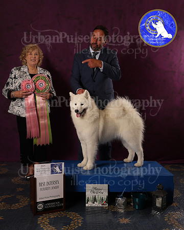 SCA2023FUTURITY_AWARD_1582
