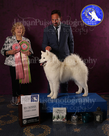 SCA2023FUTURITY_AWARD_1583