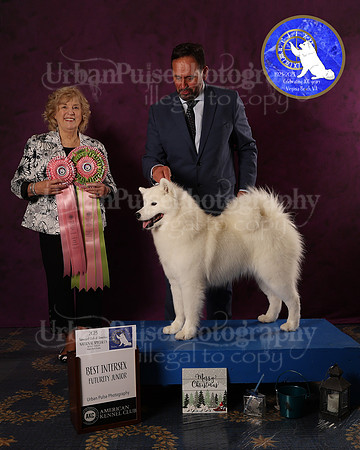 SCA2023FUTURITY_AWARD_1585