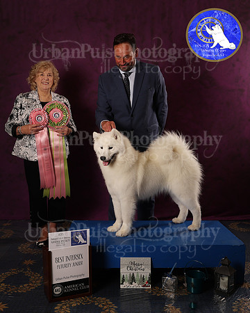 SCA2023FUTURITY_AWARD_1586