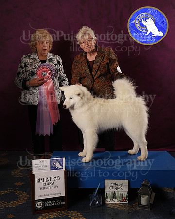 SCA2023FUTURITY_AWARD_1588