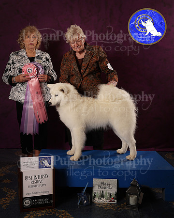 SCA2023FUTURITY_AWARD_1589