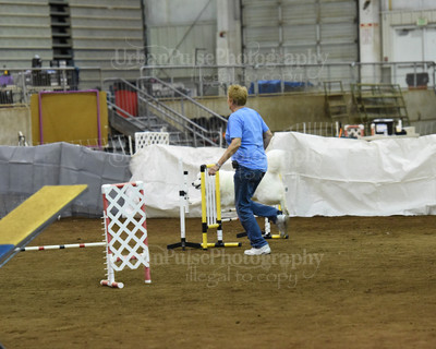 SCA2016_AG MON FAST NOVICE-0081