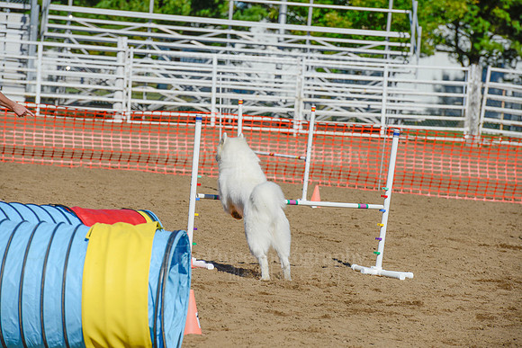 AGILITY-2091