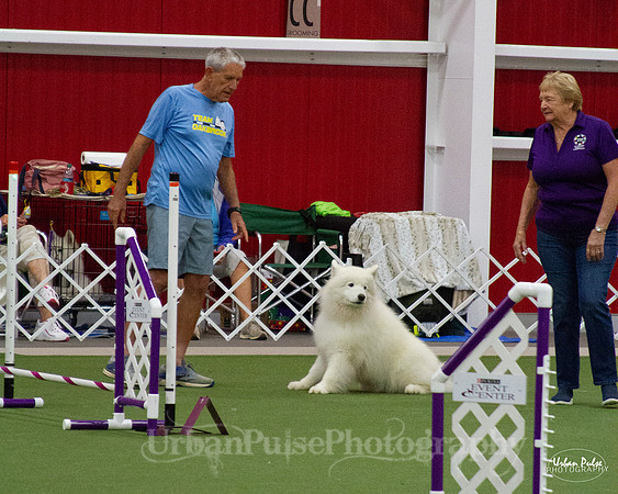 AGILITY_9499