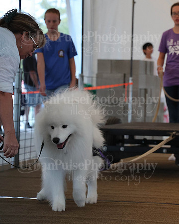 SCA2023_NOVICE WP-43