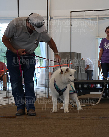 SCA2023_NOVICE WP-53