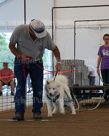 SCA2023_NOVICE WP-54