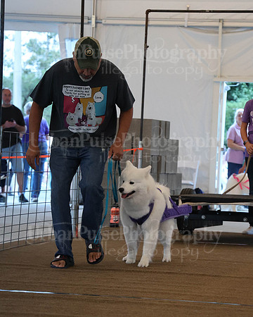 SCA2023_NOVICE WP-57