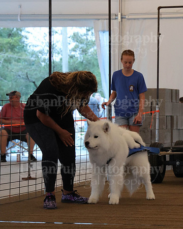 SCA2023_NOVICE WP-91
