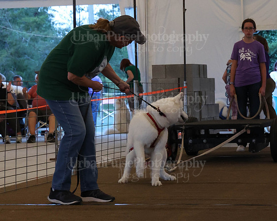 SCA2023_NOVICE WP-133