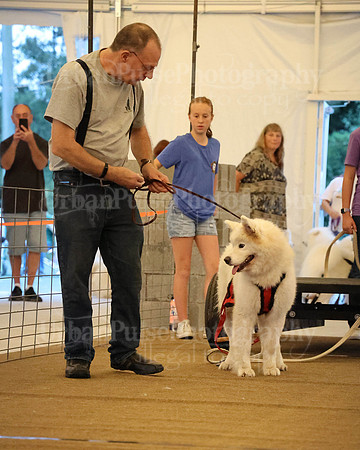 SCA2023_NOVICE WP-145