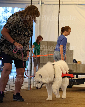 SCA2023_NOVICE WP-155