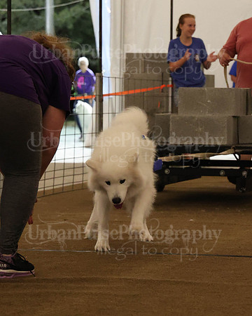 SCA2023_NOVICE WP-228