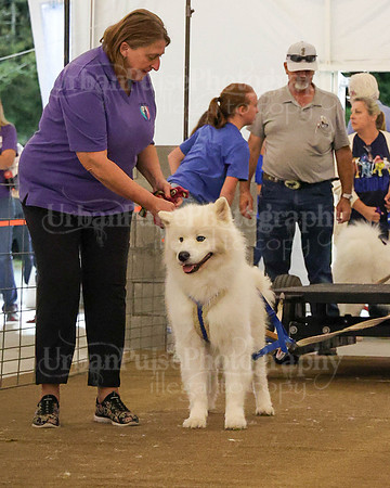 SCA2023_NOVICE WP-237