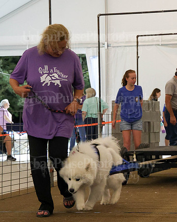 SCA2023_NOVICE WP-243