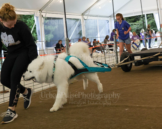 SCA2023_NOVICE WP-256