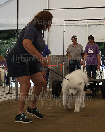 SCA2023_NOVICE WP-257