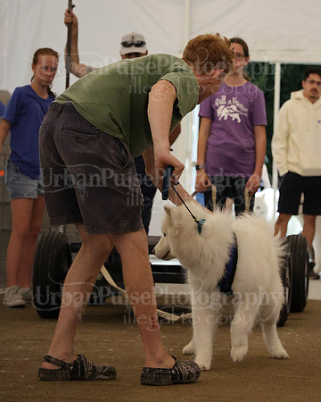 SCA2023_NOVICE WP-266