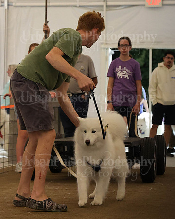 SCA2023_NOVICE WP-267